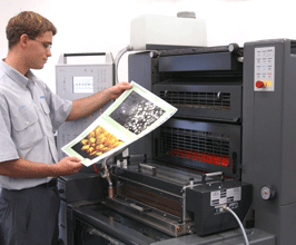 Heidelberg Offset Printing